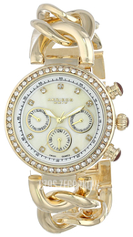 Akribos XXIV Multi-Function Biały/Stal w odcieniu złota Ø39 mm AK640YG