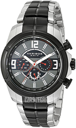 Akribos XXIV Multi-Function Szary/Stal Ø46 mm AK832TTB