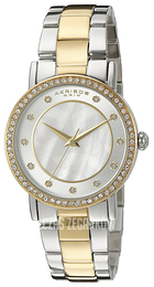 Akribos XXIV Crystal Srebrny/Stal w odcieniu złota Ø34 mm AK880TTG