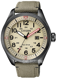 Citizen Beżowy/Skóra Ø42.6 mm AW5005-12X