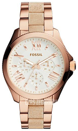 Fossil Srebrny/Żywica z tworzywa sztucznego Ø40 mm AM4622