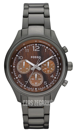 Fossil Flight Brązowy/Stal Ø40 mm CH2822