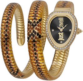 Just Cavalli Glam Chic Czarny/Stal w odcieniu złota JC1L163M0065