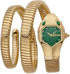 Just Cavalli Glam Chic Zielony/Stal w odcieniu złota JC1L168M0045