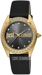 Just Cavalli Animalier Szary/Skóra JC1L195L0025