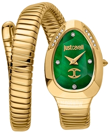 Just Cavalli Signature Zielony/Stal w odcieniu złota Ø22 mm JC1L229M0035