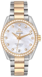 Omega Seamaster Aqua Terra 150m Master Co-Axial Ladies 38.5mm Stal Ø38.5 mm 231.25.39.21.55.002