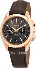 Omega Seamaster Aqua Terra 150m Co-Axial Chronograph GMT 43mm Szary/Skóra Ø43 mm 231.53.43.52.06.001
