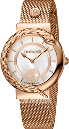 Roberto Cavalli by Franck Muller Dress Biały/Stal w kolorze różowego złota Ø34 mm RV1L088M0106