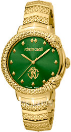 Roberto Cavalli by Franck Muller Dress Zielony/Stal w odcieniu złota Ø34 mm RV1L113M0061