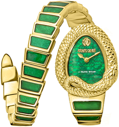 Roberto Cavalli by Franck Muller Rc-148 Zielony/Żywica z tworzywa sztucznego RV1L141M0031