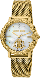 Roberto Cavalli by Franck Muller Aion Time Biały/Stal w odcieniu złota Ø34 mm RV2L057M0081