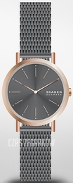 Skagen Signatur Szary/Stal Ø30 mm SKW2996