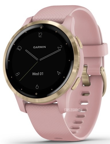 Montre Garmin VIVOACTIVE 4S 010-02172-32